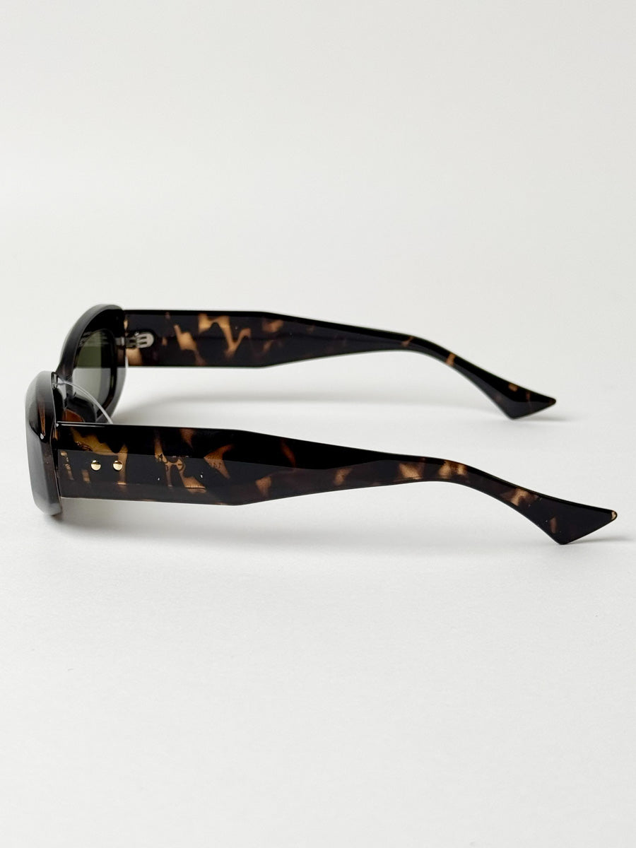 Sandy in Tortoise