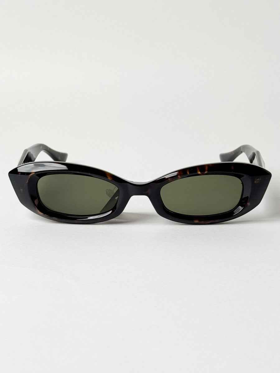 Sandy in Tortoise