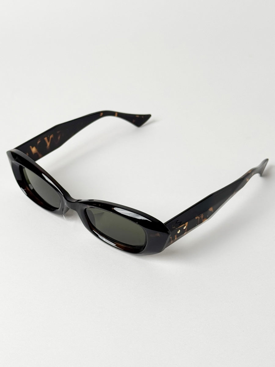 Sandy in Tortoise