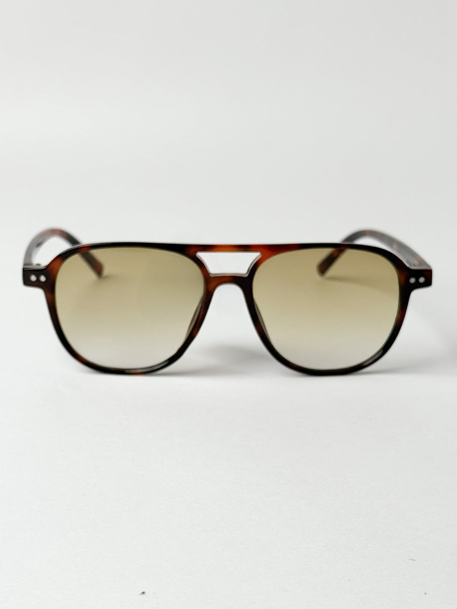 Bi-Plane in Tortoise