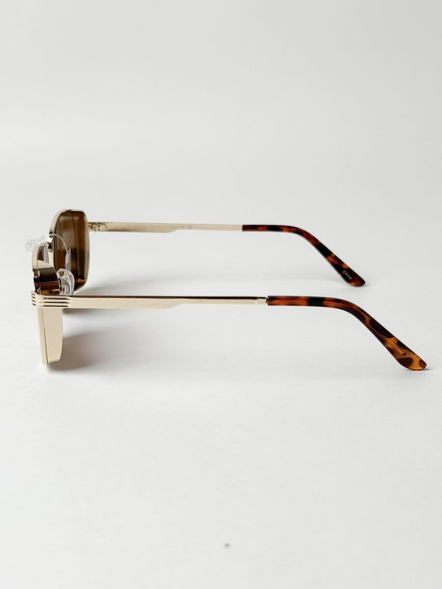 Austin in Tortoise
