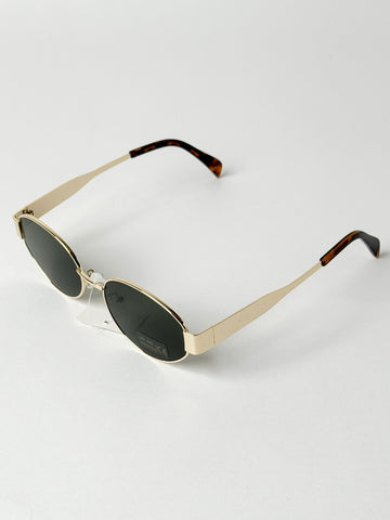 Brooklyn in Tortoise