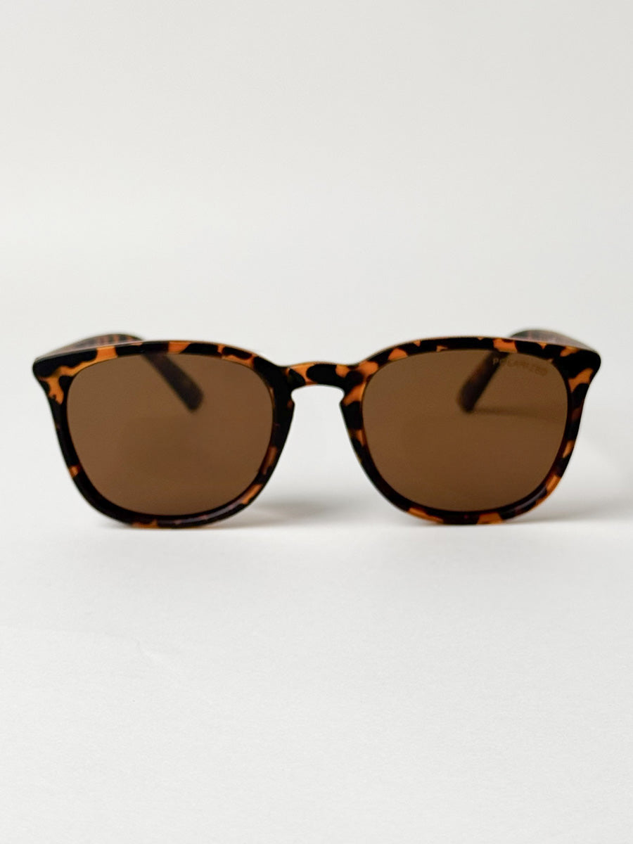Hamptons in Tortoise