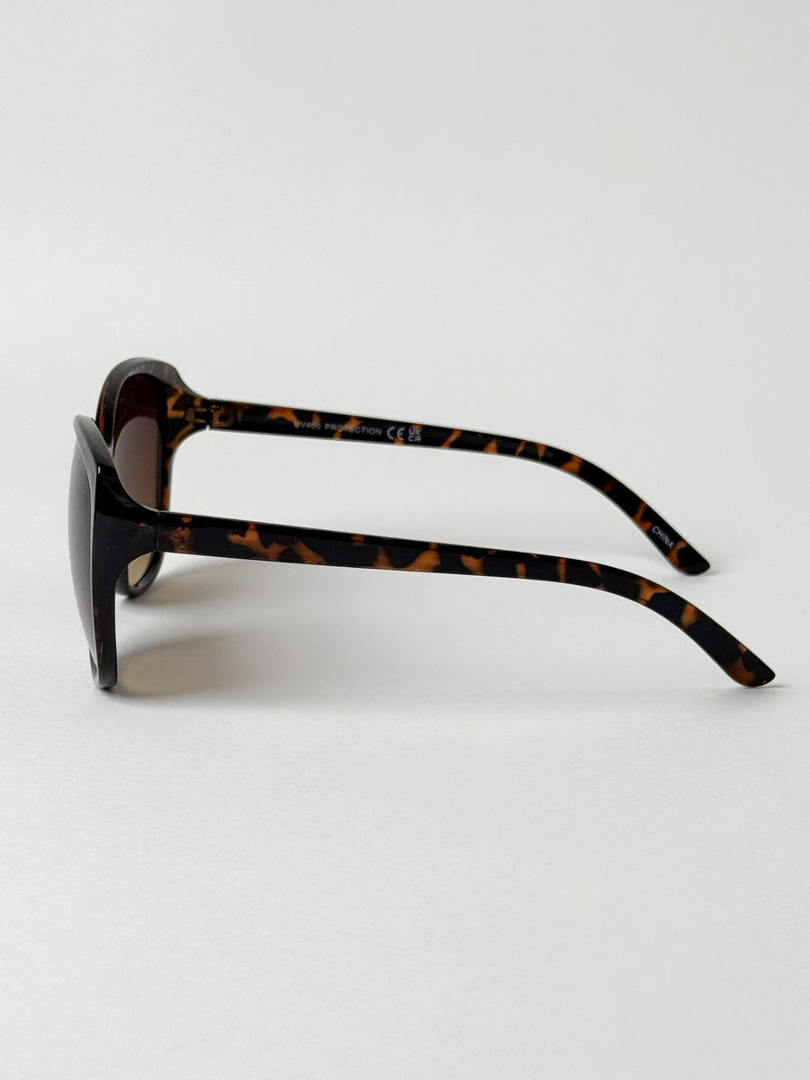Charlotte In Tortoise